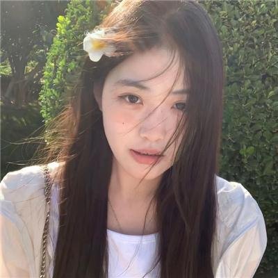 踏血寻梅海报